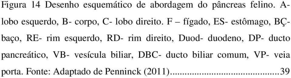 F fígado, ES- estômago, BÇbaço, RE- rim esquerdo, RD- rim direito, Duod-