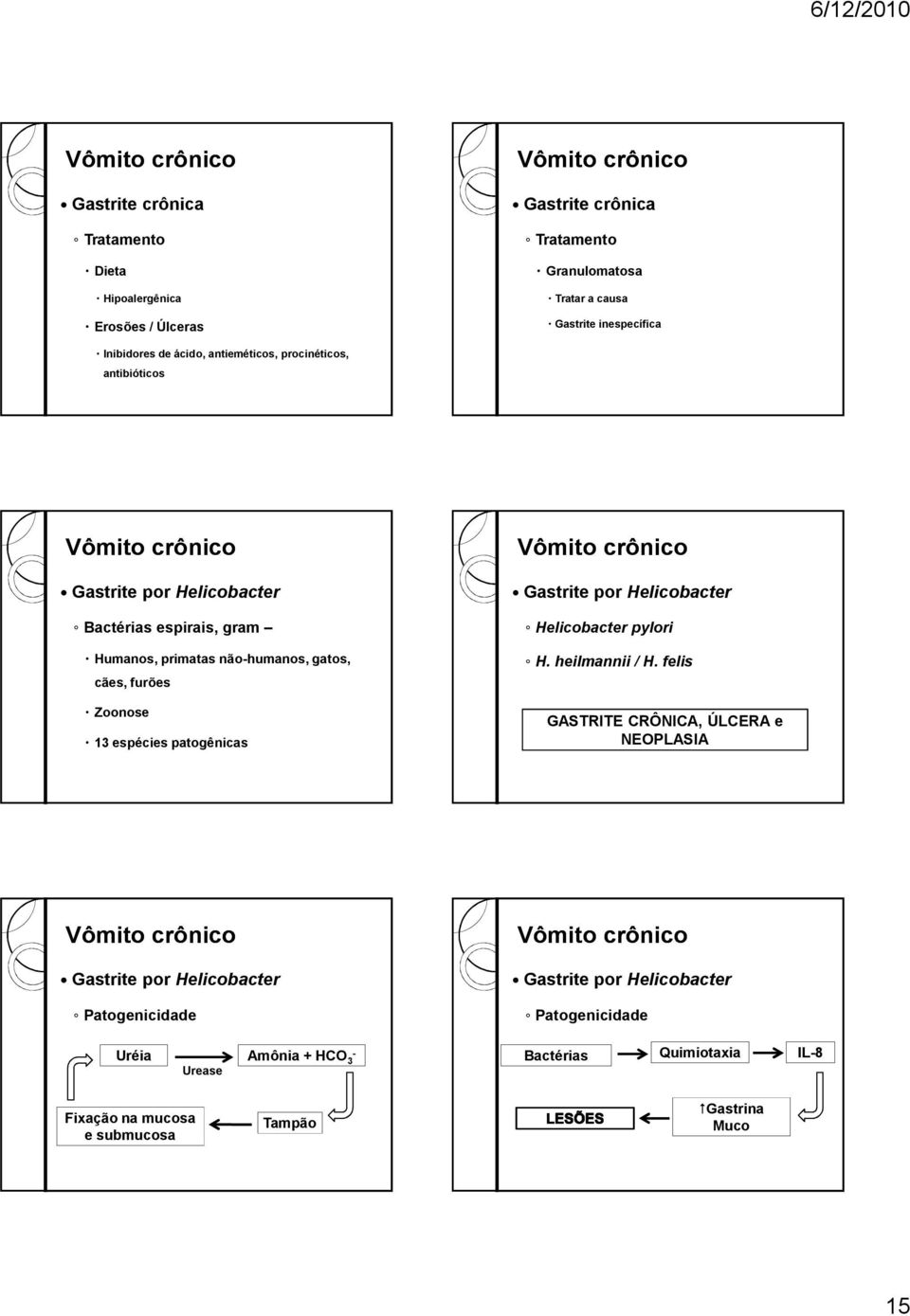 Gastrite por Helicobacter Helicobacter pylori H. heilmannii / H.