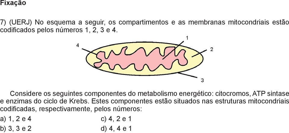 Considere os seguintes componentes do metabolismo energético: citocromos, ATP sintase enzimas do