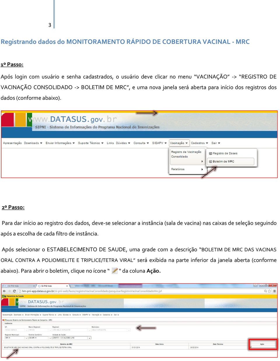 2º Passo: Para dar início ao registro dos dados, deve-se selecionar a instância (sala de vacina) nas caixas de seleção seguindo após a escolha de cada filtro de instância.