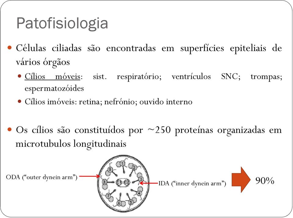 respiratório; ventrículos SNC; trompas; espermatozóides Cílios imóveis: retina; nefrónio;