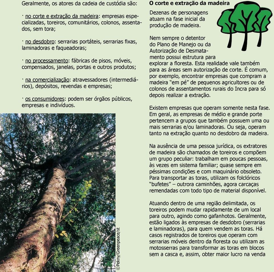 depósitos, revendas e empresas; os consumidores: podem ser órgãos públicos, empresas e indivíduos.