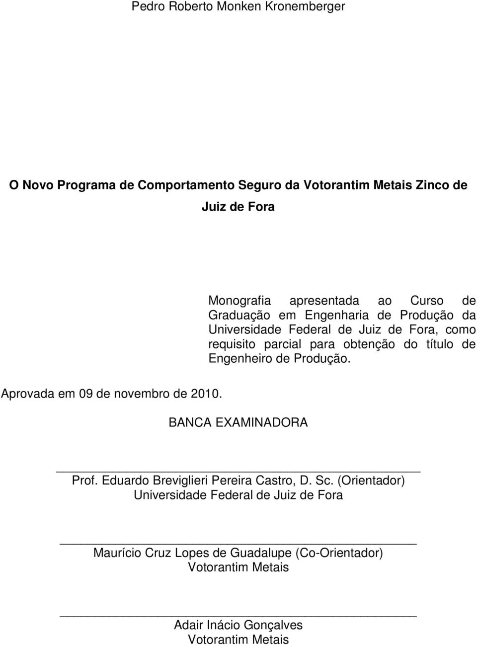 Engenheiro de Produção. Aprovada em 09 de novembro de 2010. BANCA EXAMINADORA Prof. Eduardo Breviglieri Pereira Castro, D. Sc.