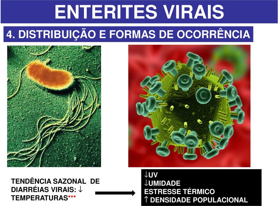 TENDÊNCIA SAZONAL DE DIARRÉIAS VIRAIS: