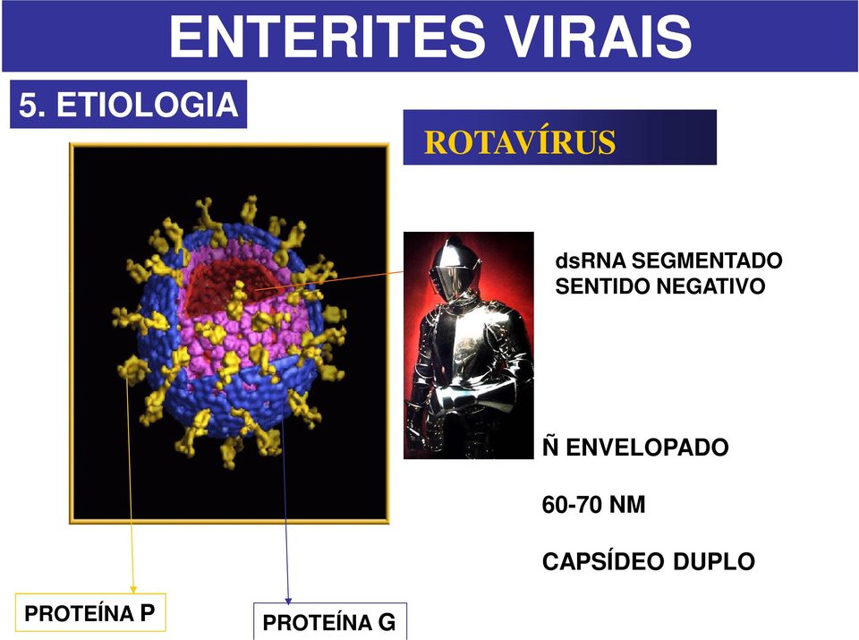 SEGMENTADO SENTIDO NEGATIVO Ñ