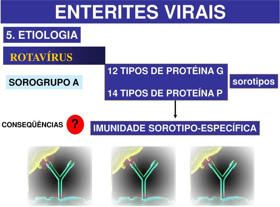 PROTÉINA G 14 TIPOS DE PROTEÍNA P