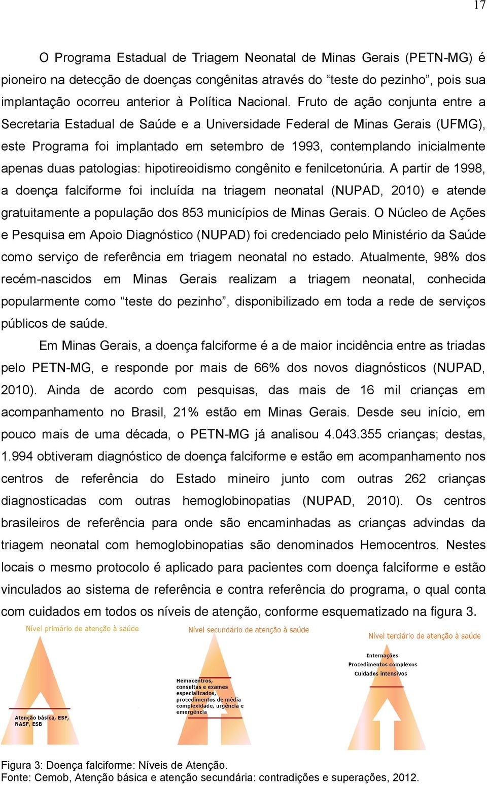 Fruto de ação conjunta entre a Secretaria Estadual de Saúde e a Universidade Federal de Minas Gerais (UFMG), este Programa foi implantado em setembro de 1993, contemplando inicialmente apenas duas
