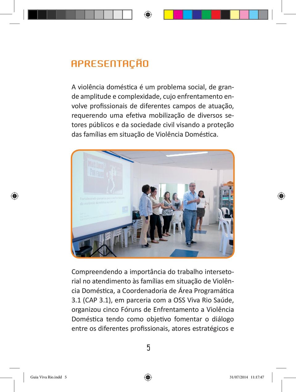 Compreendendo a importância do trabalho intersetorial no atendimento às famílias em situação de Violência Doméstica, a Coordenadoria de Área Programática 3.1 (CAP 3.