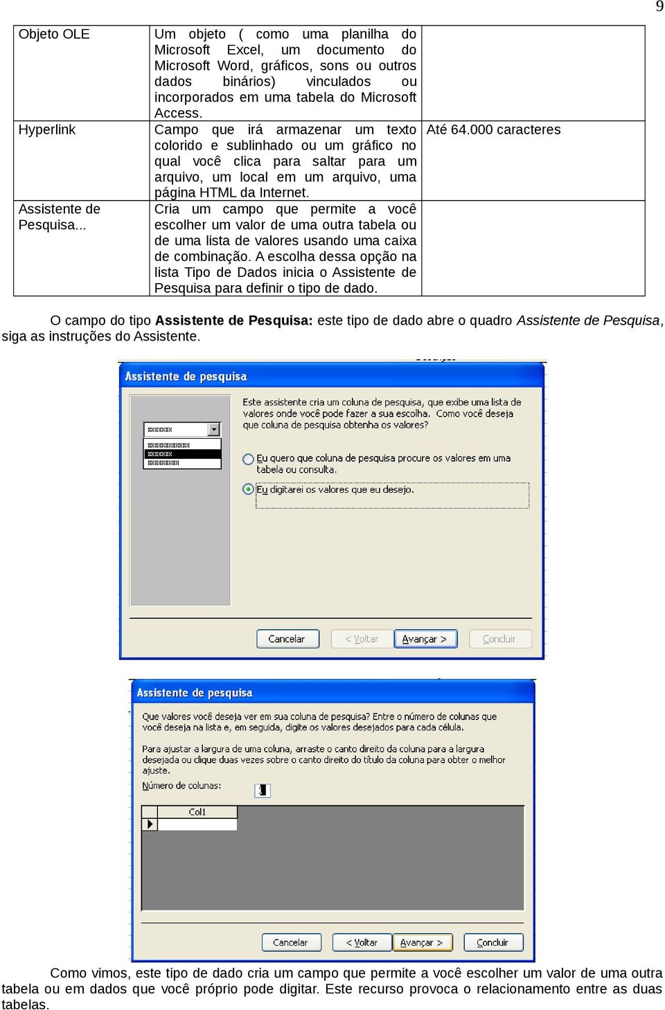 Campo que irá armazenar um texto Até 64.000 caracteres colorido e sublinhado ou um gráfico no qual você clica para saltar para um arquivo, um local em um arquivo, uma página HTML da Internet.