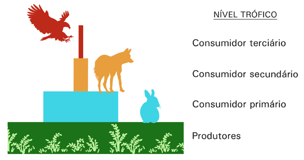 68 Ecologia 2.