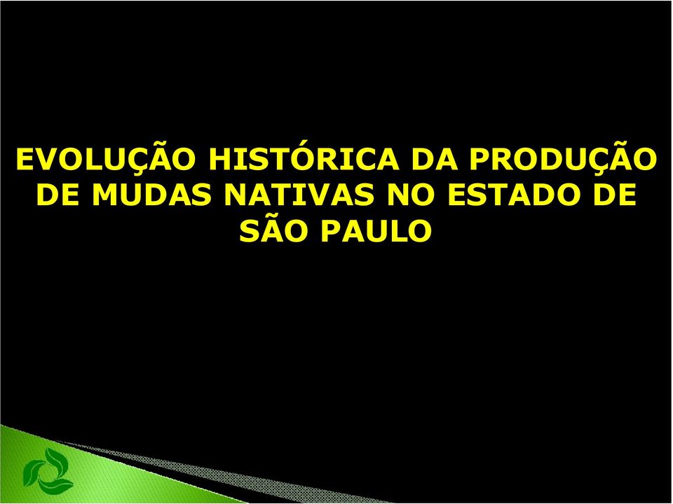 PRODUÇÃO DE MUDAS