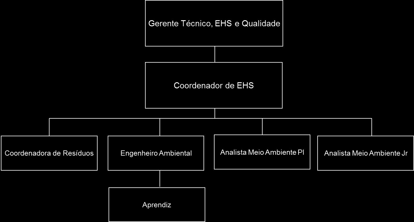 8/20 4.4.1.1. Estrutura do setor ambiental 4.4.1.2. Recursos As necessidades de Recursos Ambientais são identificadas pelo Coordenador de EHS e apresentadas para todas as gerências e para a direção industrial da Canalização.