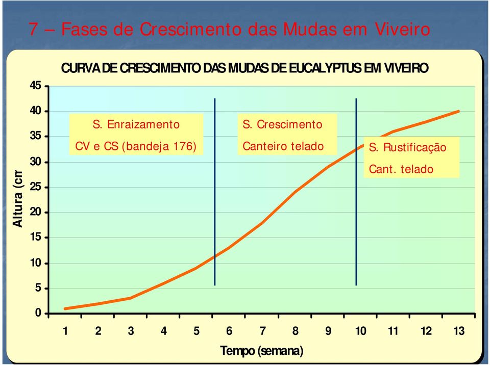 Enraizamento CV e CS (bandeja 176) S. Crescimento Canteiro telado S.