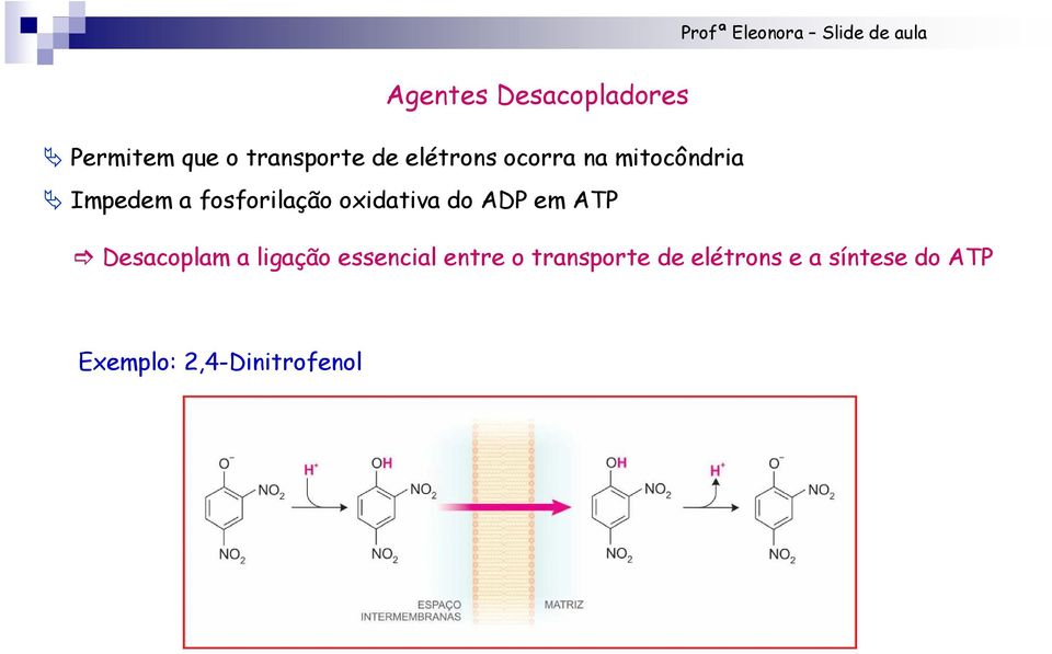 oxidativa do ADP em ATP Desacoplam a ligação essencial