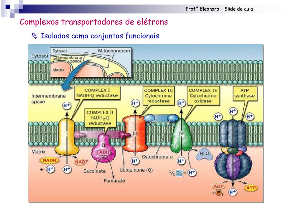 de elétrons