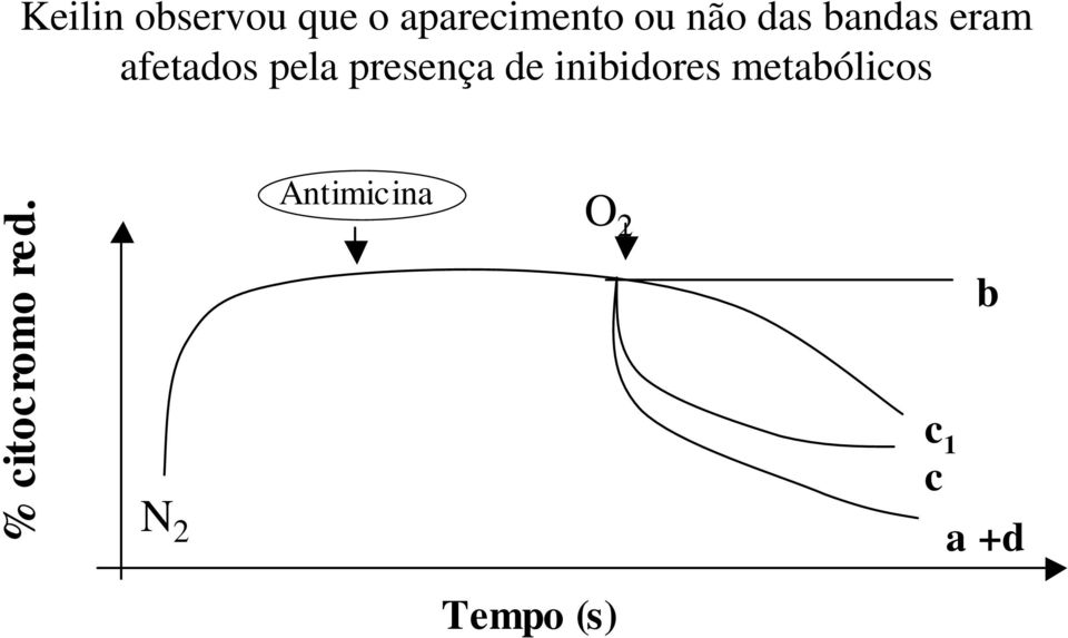 inibidores metabólicos % citocromo red.