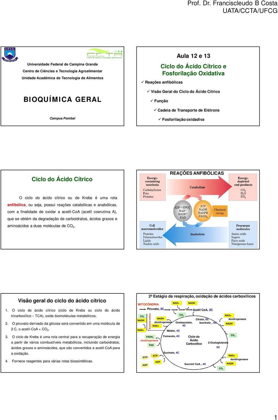 do ácido cítrico ou de Krebs é uma rota anfibólica, ou seja, possui reações catabólicas e anabólicas, com a finalidade de oxidar a acetil-coa (acetil coenzima A), que se obtém da degradação de