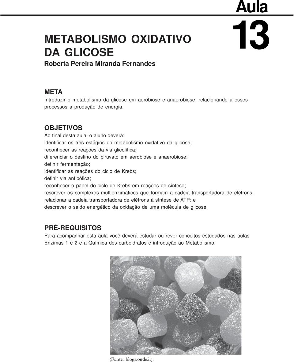 aerobiose e anaerobiose; definir fermentação; identificar as reações do ciclo de Krebs; definir via anfibólica; reconhecer o papel do ciclo de Krebs em reações de síntese; rescrever os complexos