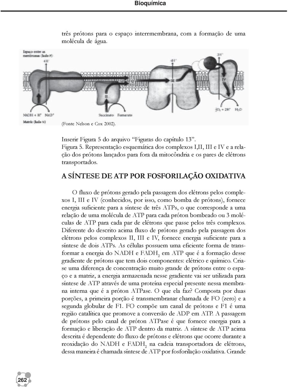 A SÍNTESE DE ATP POR FOSFORILAÇÃO OXIDATIVA O fluxo de prótons gerado pela passagem dos elétrons pelos complexos I, III e IV (conhecidos, por isso, como bomba de prótons), fornece energia suficiente