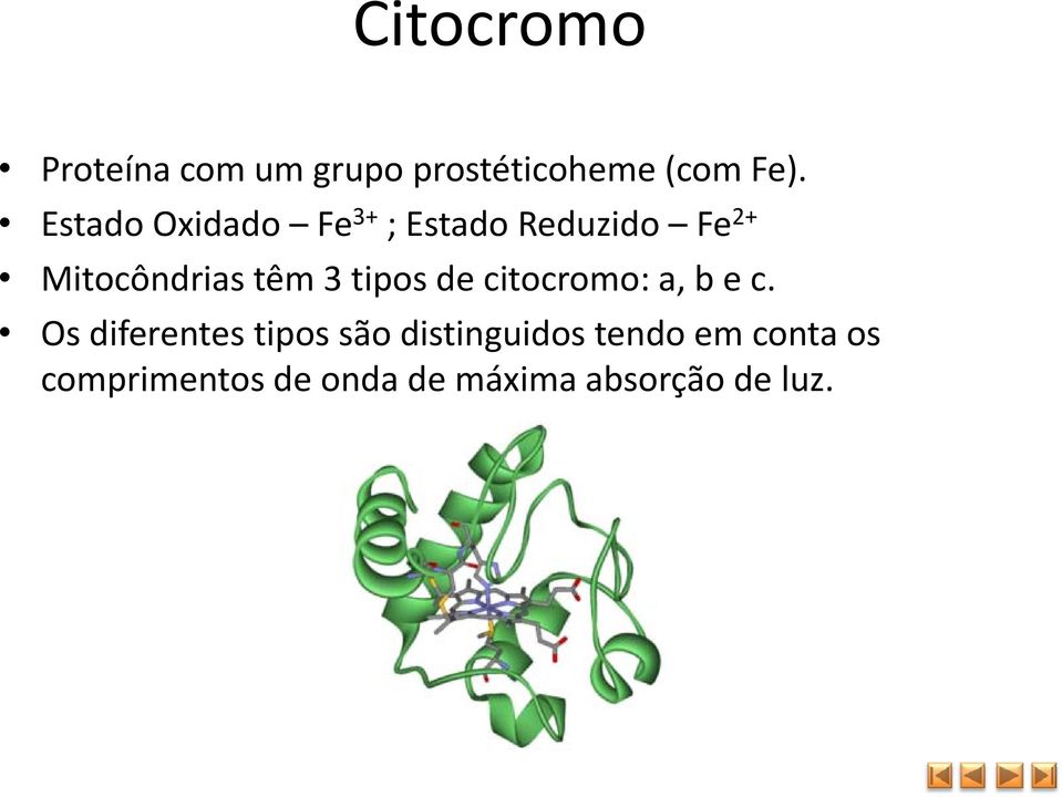 tipos de citocromo: a, b e c.