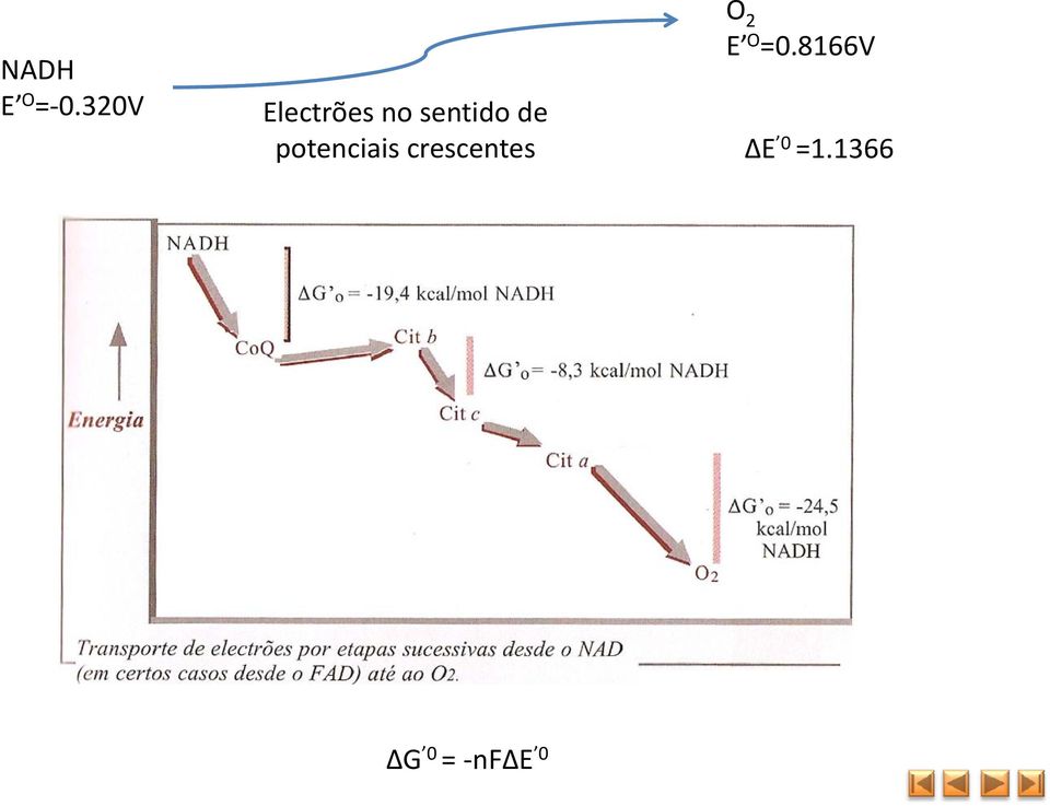 8166V Electrões no sentido