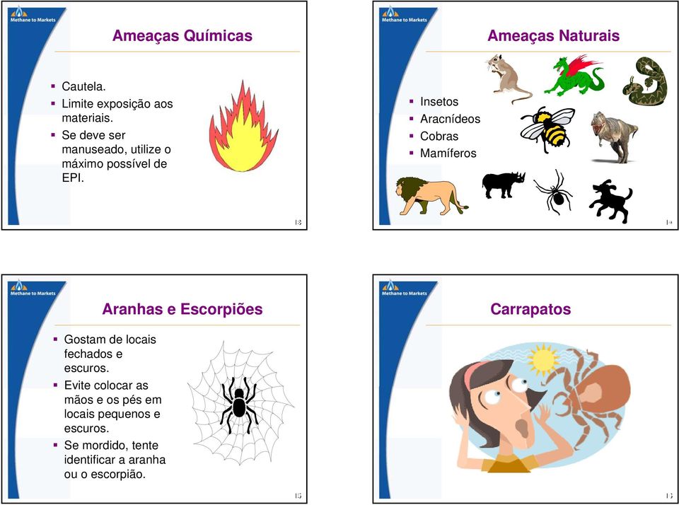 Insetos Aracnídeos Cobras Mamíferos 13 14 14 Aranhas e Escorpiões Carrapatos Gostam de