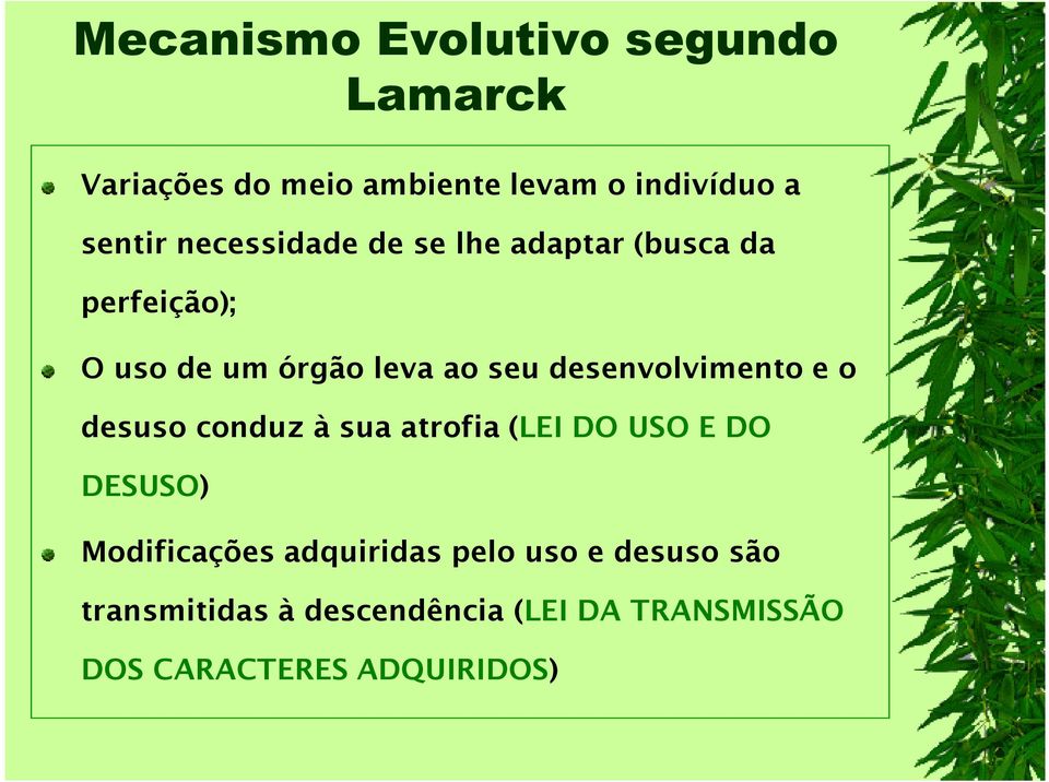 desenvolvimento e o desuso conduz à sua atrofia (LEI DO USO E DO DESUSO) Modificações