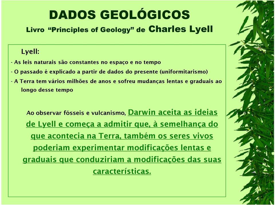 longo desse tempo Ao observar fósseis e vulcanismo, Darwin aceita as ideias de Lyell e começa a admitir que, à semelhança do que