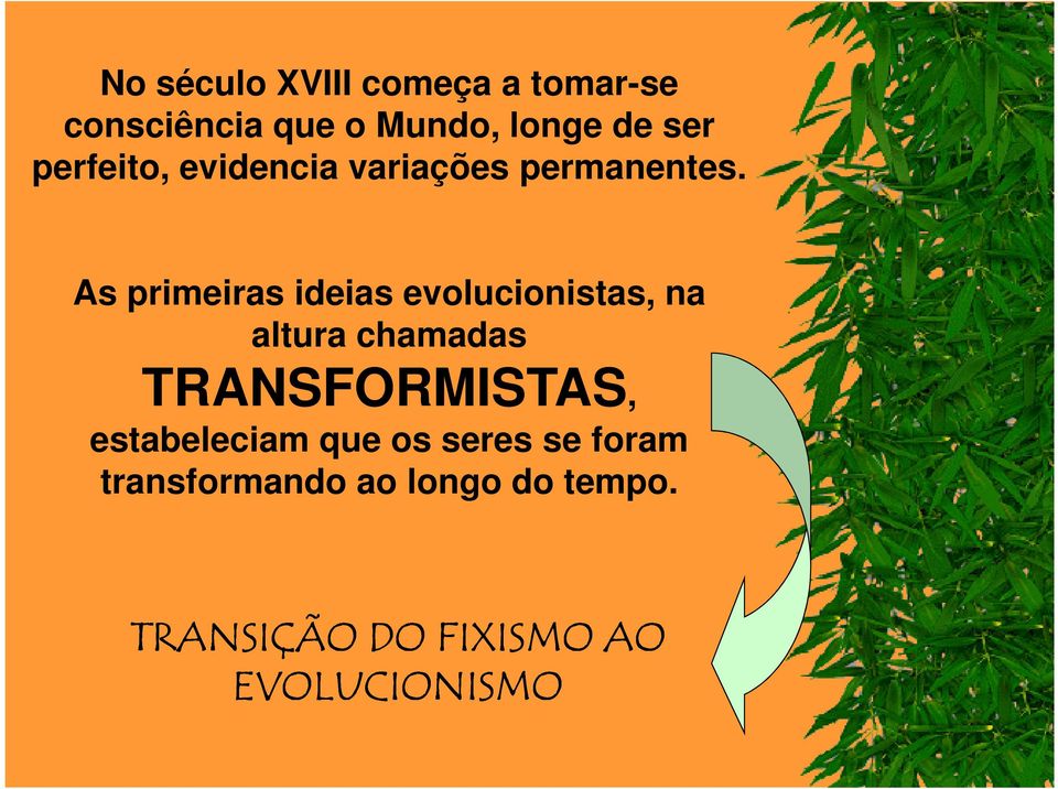 As primeiras ideias evolucionistas, na altura chamadas TRANSFORMISTAS,