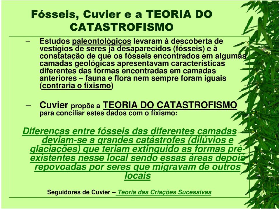 fixismo) Cuvier propõe a TEORIA DO CATASTROFISMO para conciliar estes dados com o fixismo: Diferenças entre fósseis das diferentes camadas deviam-se a grandes catástrofes (dilúvios e