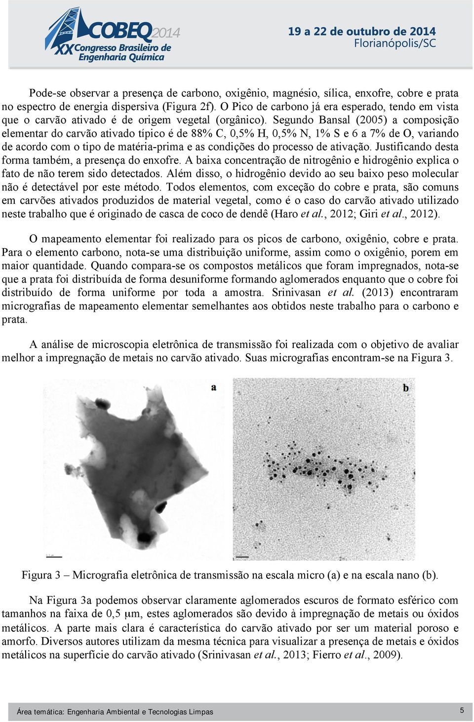 Segundo Bansal (2005) a composição elementar do carvão ativado típico é de 88% C, 0,5% H, 0,5% N, 1% S e 6 a 7% de O, variando de acordo com o tipo de matéria-prima e as condições do processo de