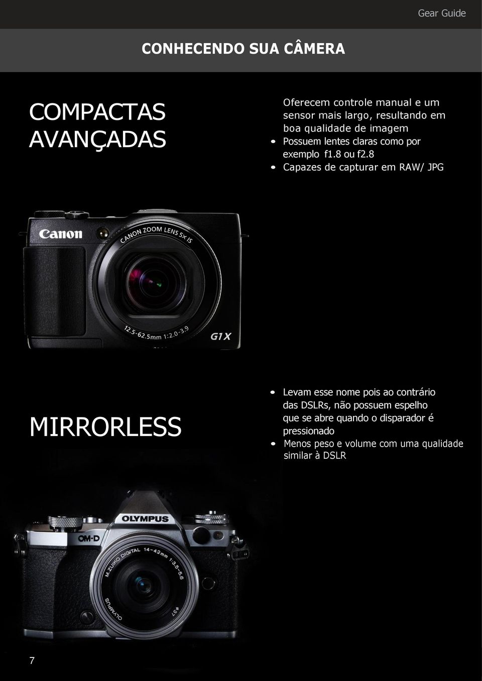 8 Capazes de capturar em RAW/ JPG MIRRORLESS Levam esse nome pois ao contrário das DSLRs, não