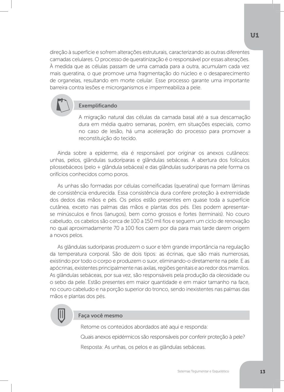 Esse processo garante uma importante barreira contra lesões e microrganismos e impermeabiliza a pele.