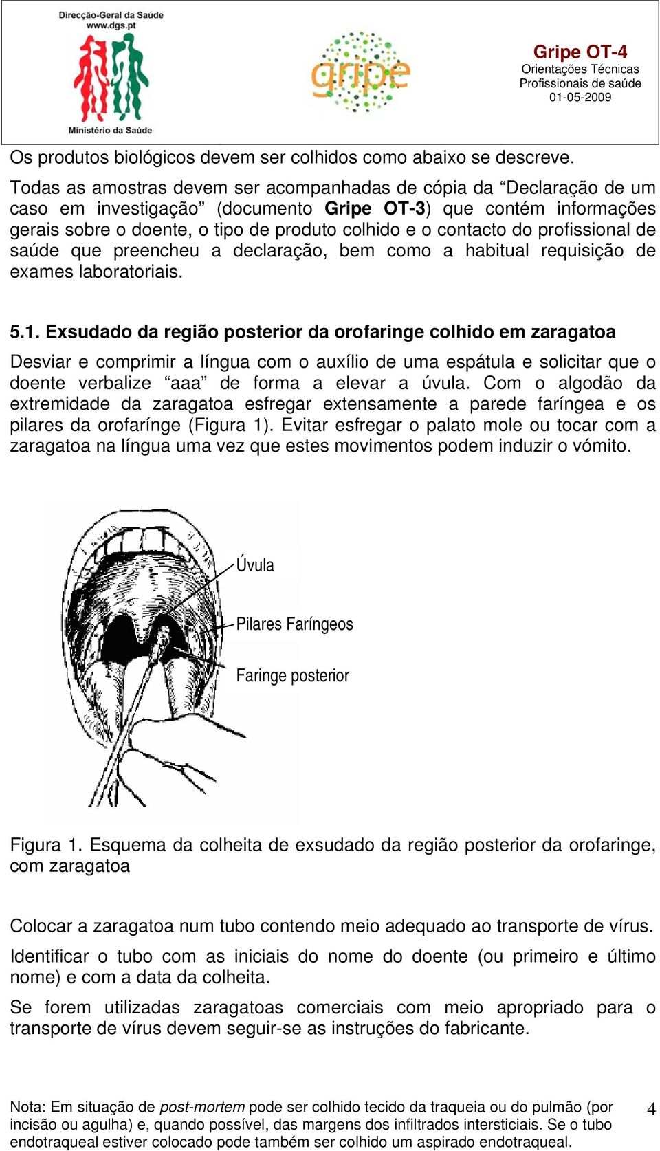 do profissional de saúde que preencheu a declaração, bem como a habitual requisição de exames laboratoriais. 5.1.