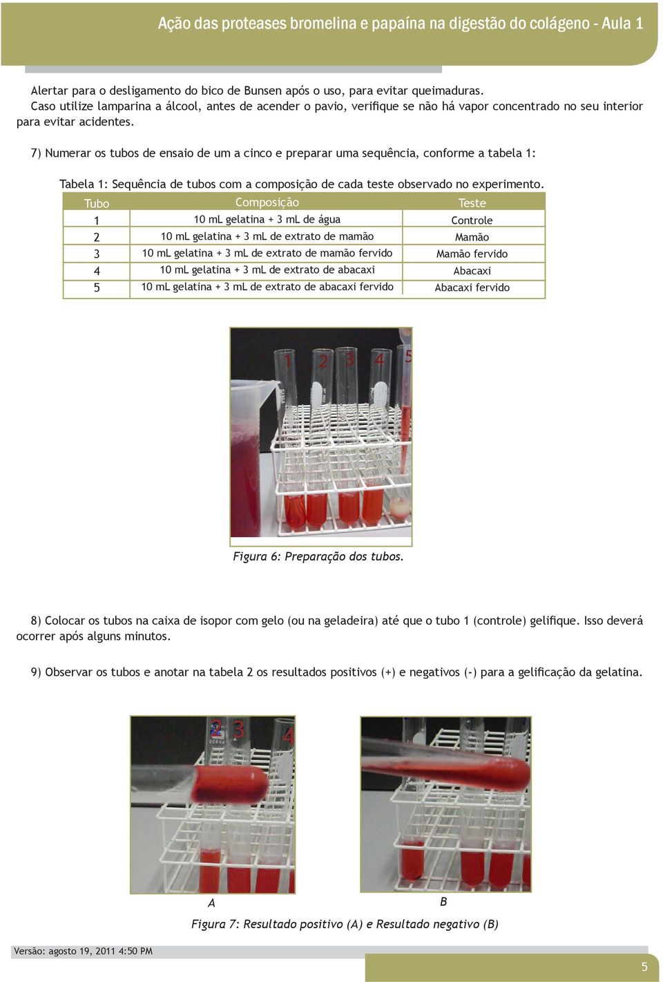 7) Numerar os tubos de ensaio de um a cinco e preparar uma sequência, conforme a tabela 1: Tabela 1: Sequência de tubos com a composição de cada teste observado no experimento.