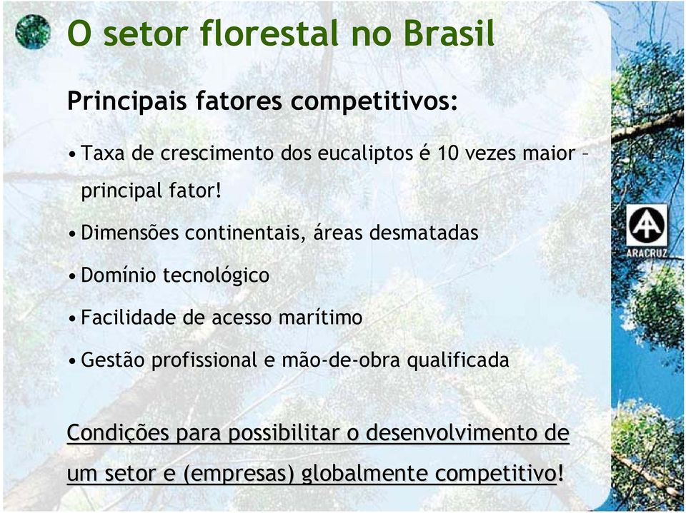 Dimensões continentais, áreas desmatadas Domínio tecnológico Facilidade de acesso marítimo