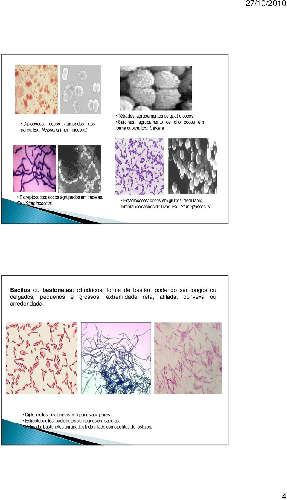 : Streptococcus Estafilococos: cocos em grupos irregulares, lembrando cachos de uvas. Ex.