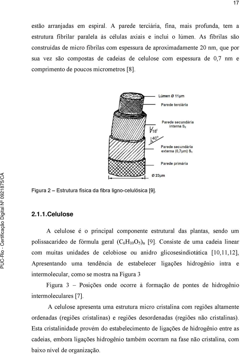 [8]. Figura 2 Estrutura física da fibra ligno-celulósica [9]. 2.1.1.Celulose A celulose é o principal componente estrutural das plantas, sendo um polissacarídeo de fórmula geral (C 6 H 10 O 5 ) n [9].