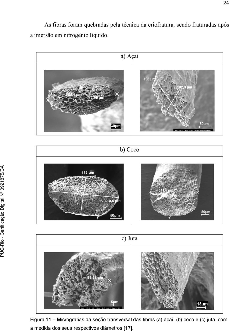 a) Açaí b) Coco c) Juta Figura 11 Micrografias da seção transversal