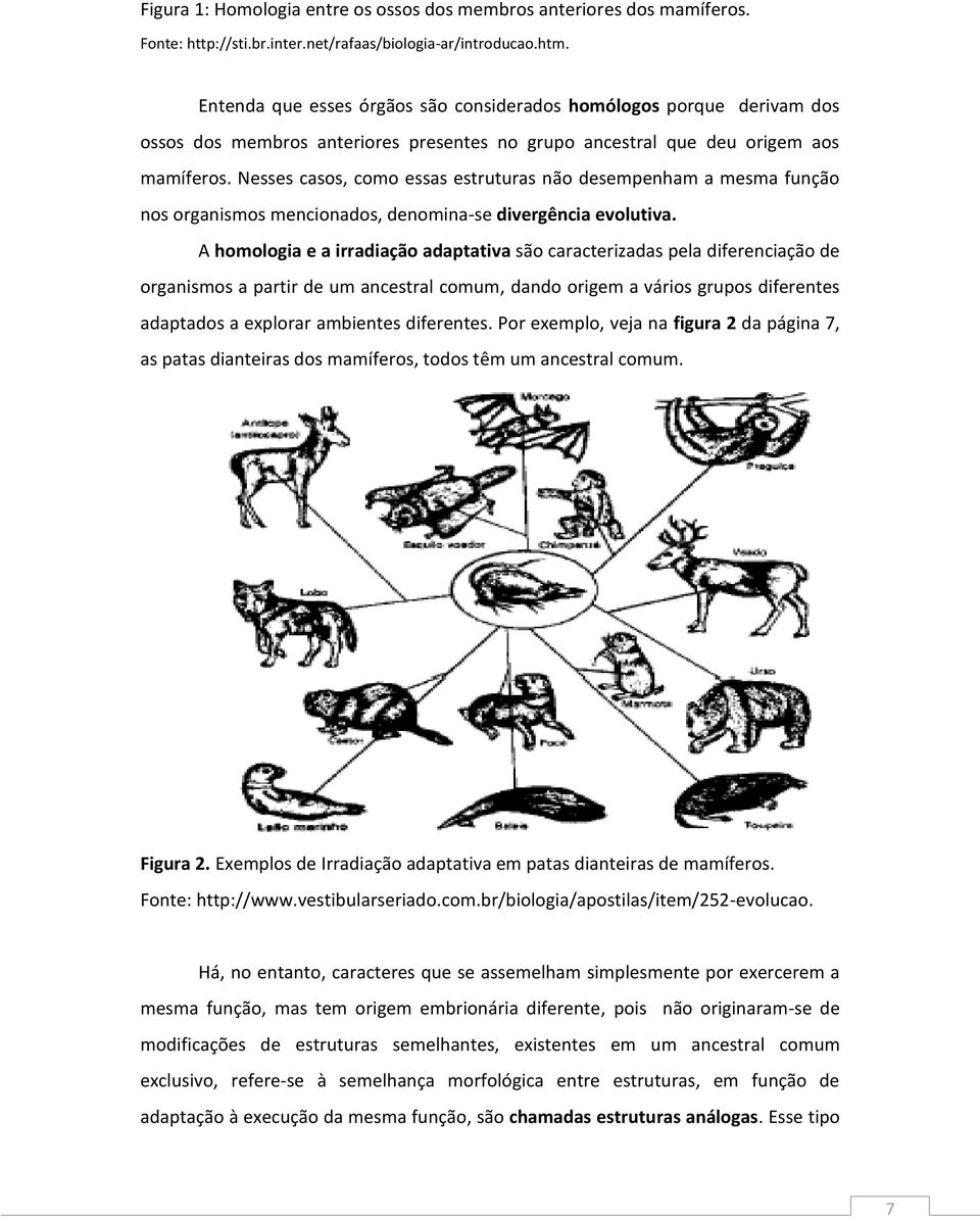 Nesses casos, como essas estruturas não desempenham a mesma função nos organismos mencionados, denomina-se divergência evolutiva.