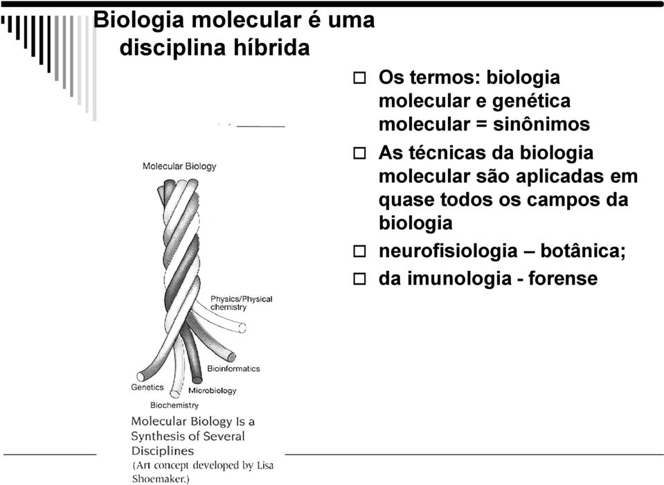 técnicas da biologia molecular são aplicadas em quase todos