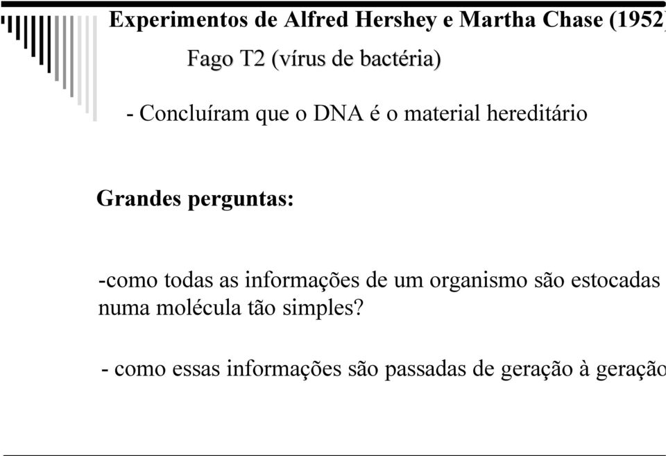 perguntas: -como todas as informações de um organismo são estocadas numa