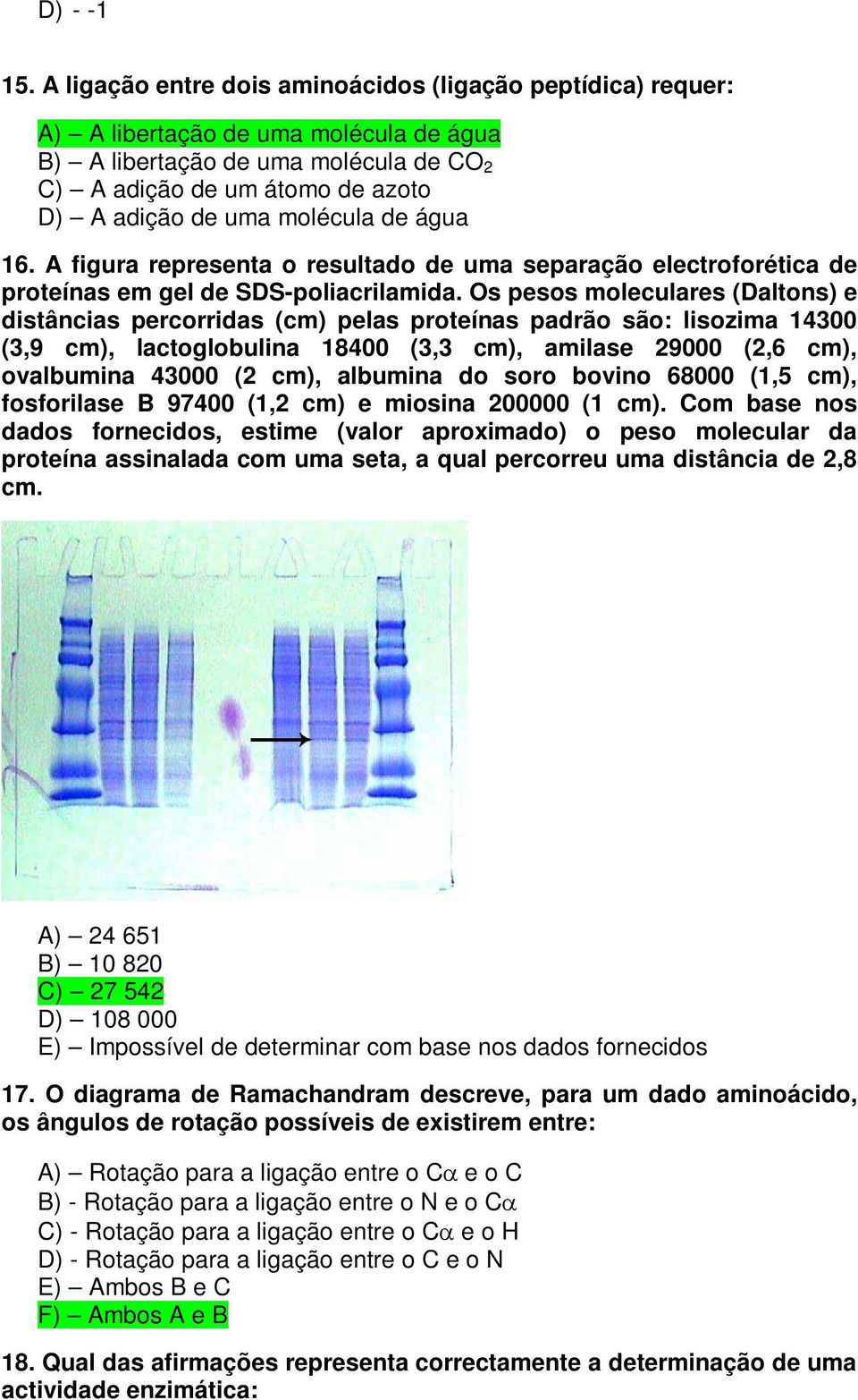 molécula de água 16. A figura representa o resultado de uma separação electroforética de proteínas em gel de SDS-poliacrilamida.