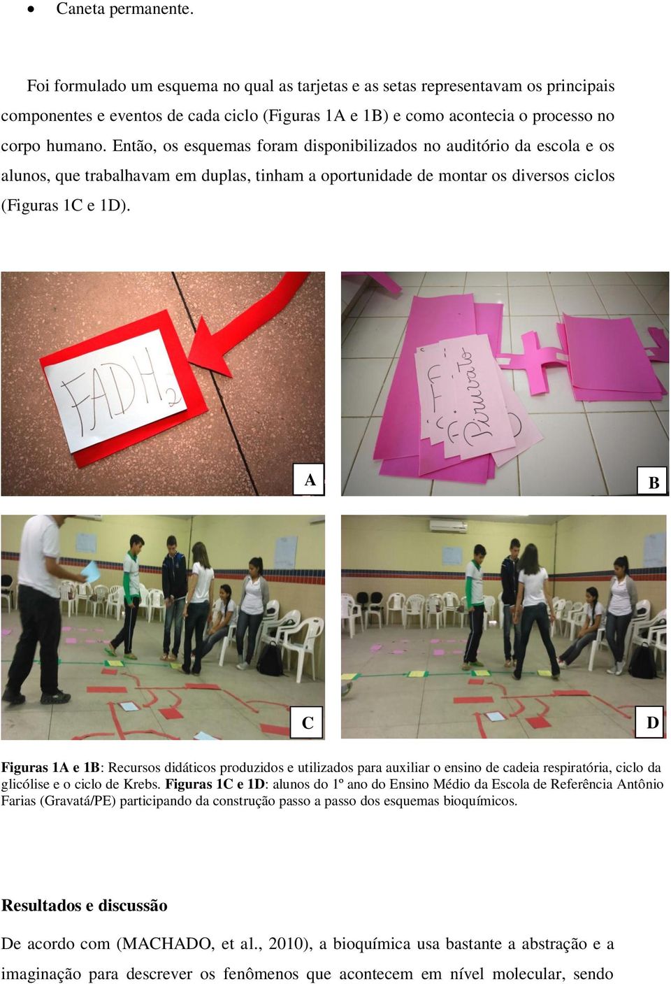 Então, os esquemas foram disponibilizados no auditório da escola e os alunos, que trabalhavam em duplas, tinham a oportunidade de montar os diversos ciclos (Figuras 1C e 1D).