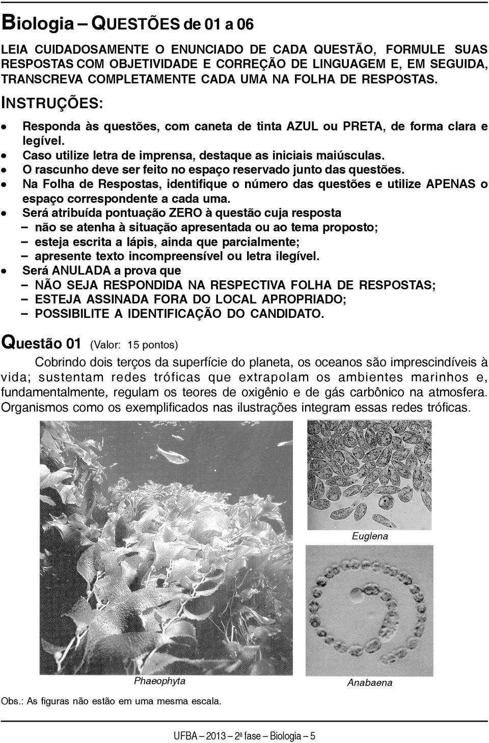 O rascunho deve ser feito no espaço reservado junto das questões. Na Folha de Respostas, identifique o número das questões e utilize APENAS o espaço correspondente a cada uma.