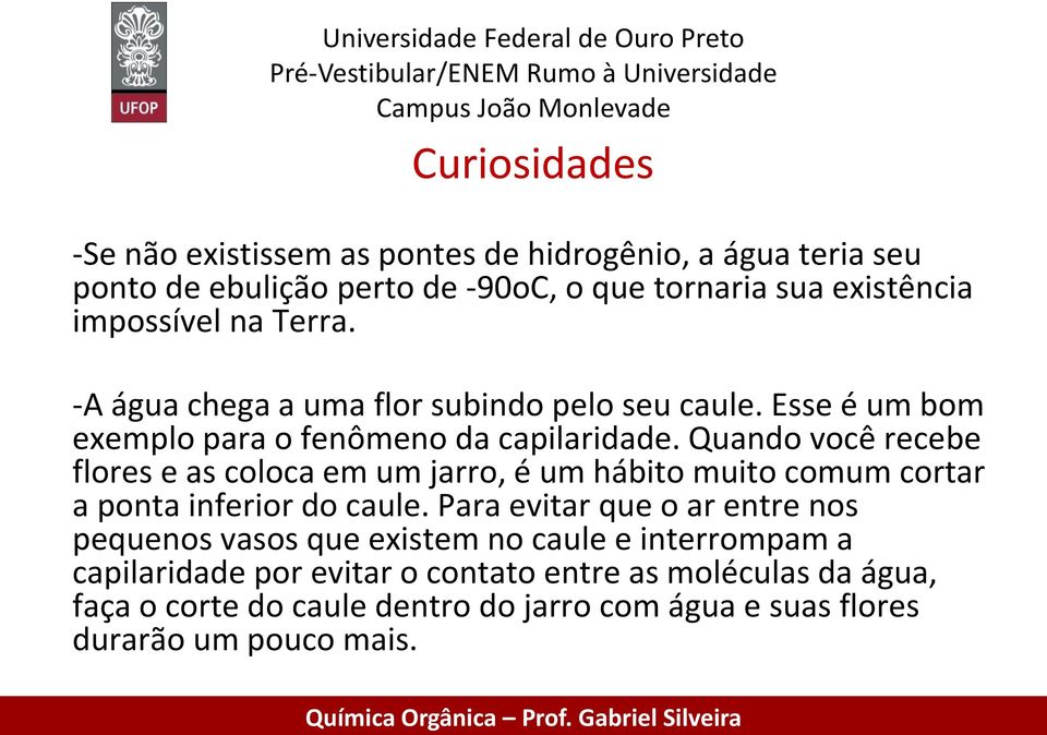 Quando você recebe flores e as coloca em um jarro, é um hábito muito comum cortar a ponta inferior do caule.