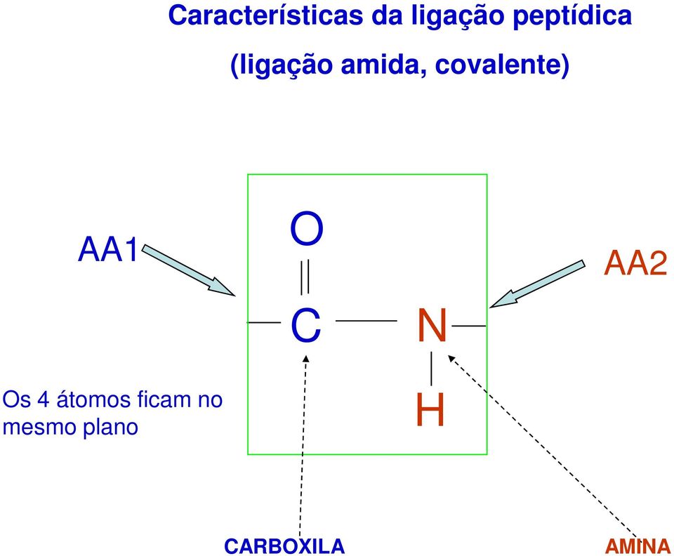 covalente) AA1 O AA2 C N Os 4