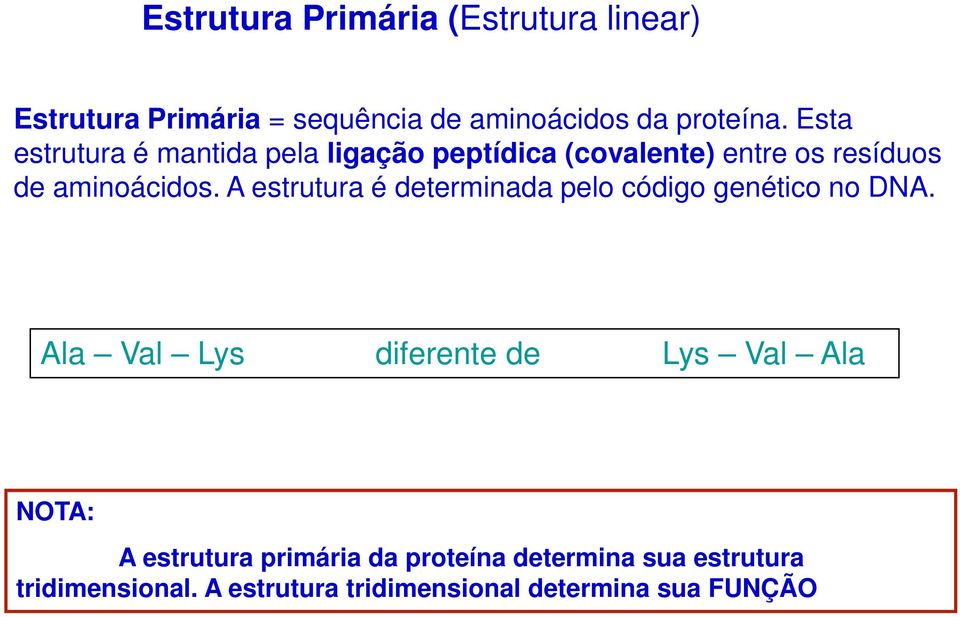 A estrutura é determinada pelo código genético no DNA.