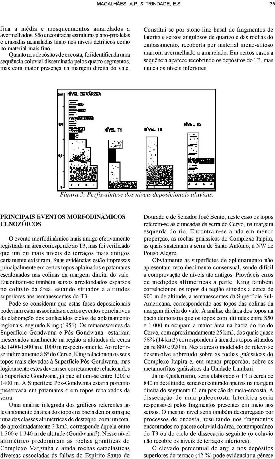 Quanto aos depósitos de encosta, foi identificada uma sequência coluvial disseminada pelos quatro segmentos, mas com maior presença na margem direita do vale.