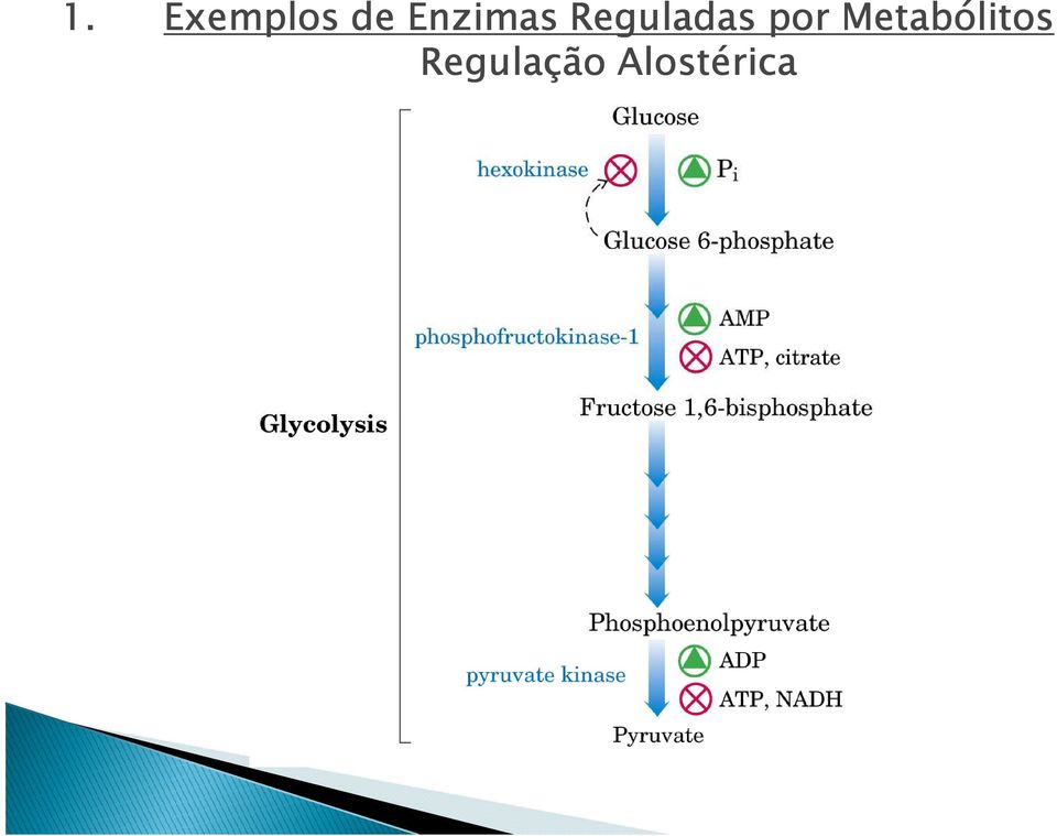 por Metabólitos